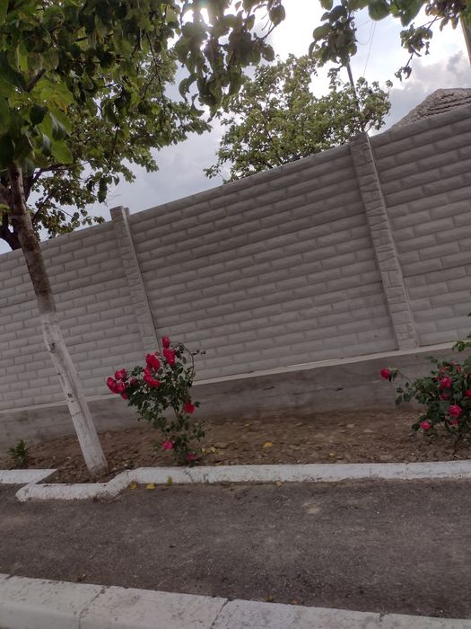 Vând plăci de gard și stâlpi