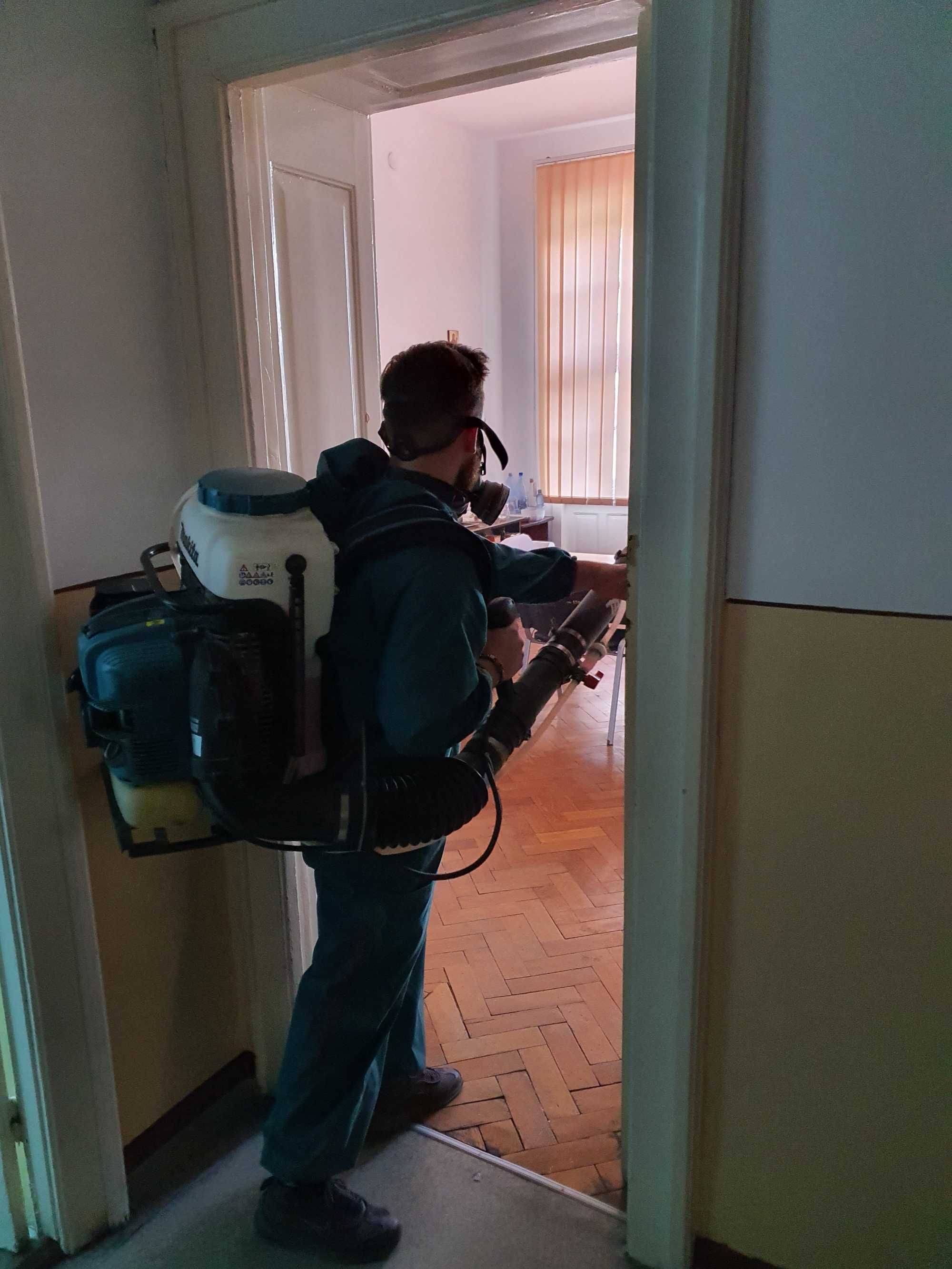 Servicii dezinsectie dezinfectie deratizare DDD tratament viespi