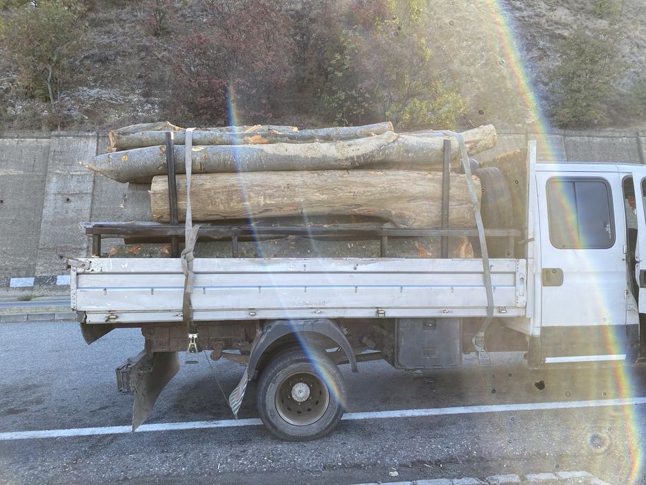 Lemne de vânzare fag