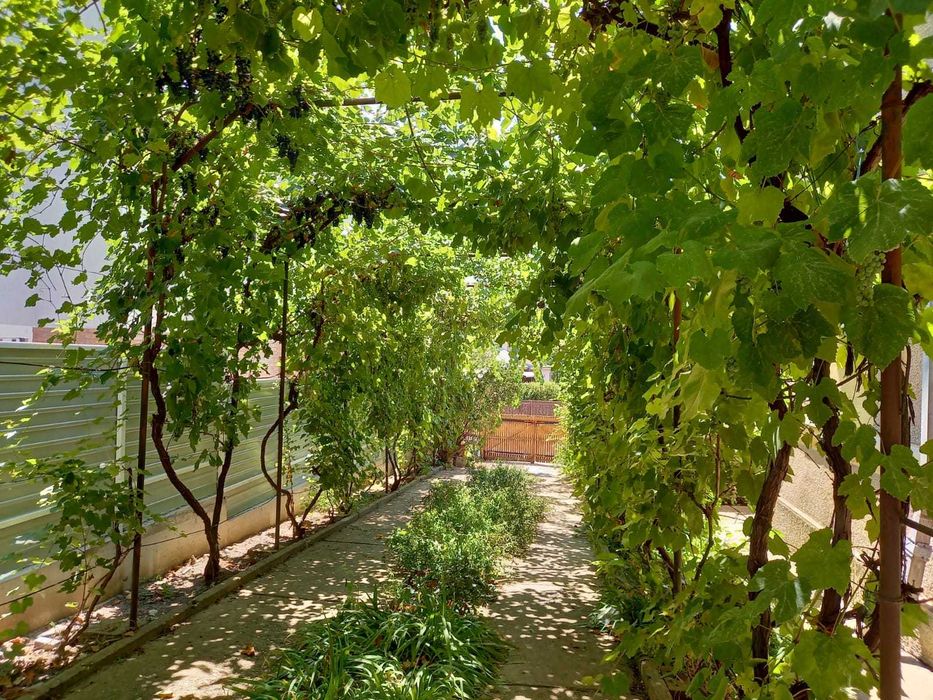 Casă de vânzare P+1E