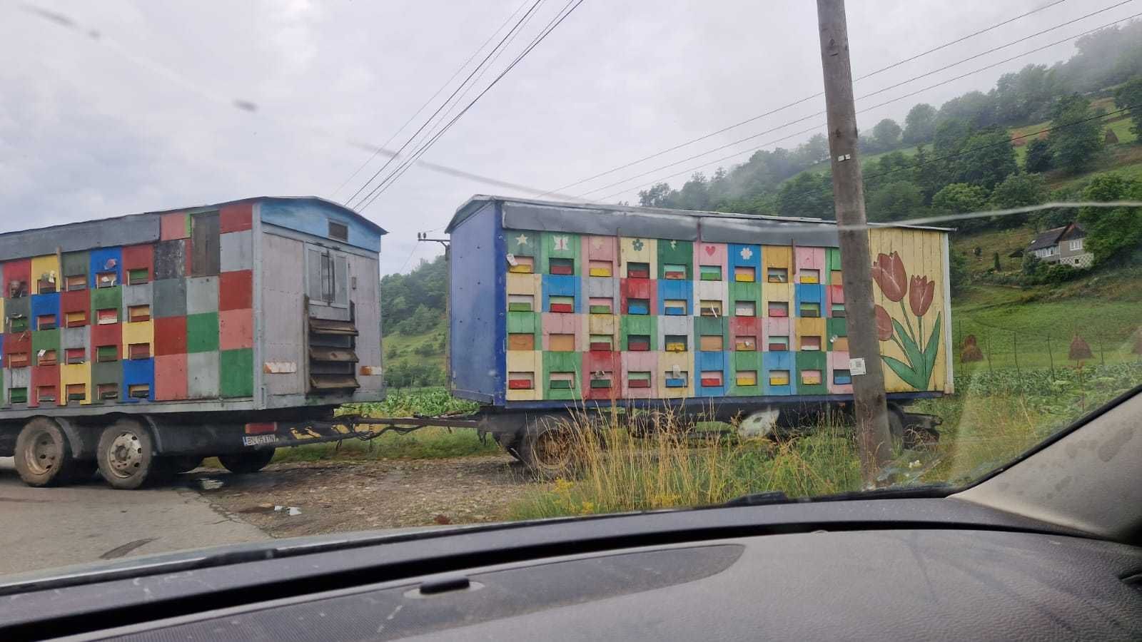 Remorca apicola pavilion de 80 de familii cu sau fara albine