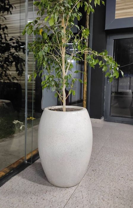 Изысканные вазоны из мрамора – лучшее для сада Вазон