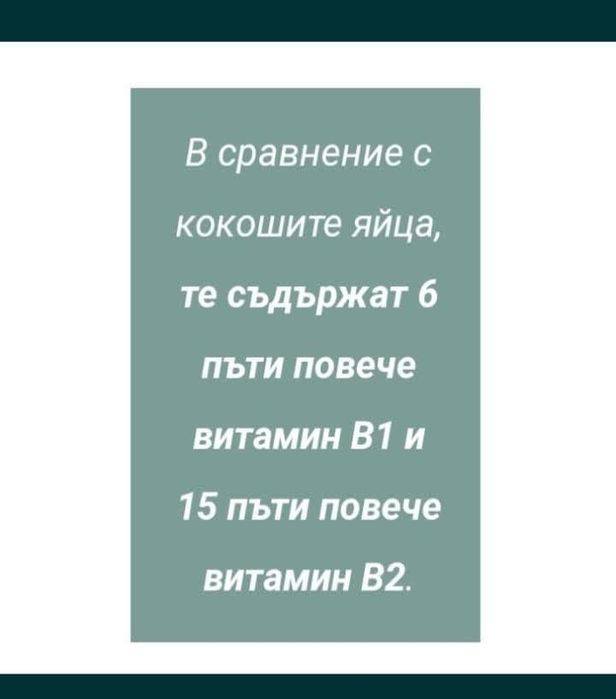 Винаги пресни,пращаме за цялата страна!!!