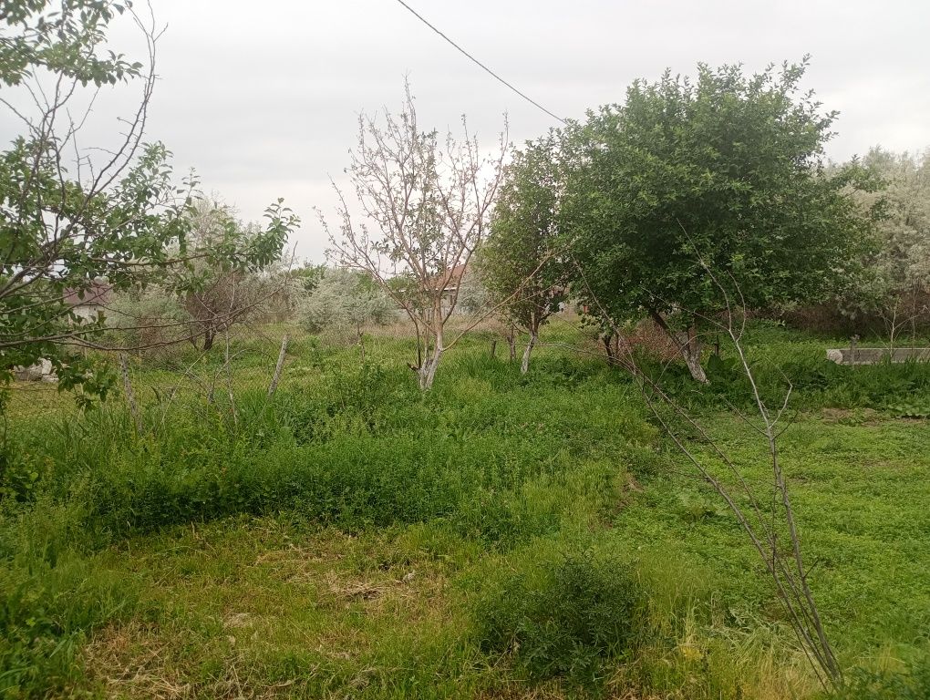 Уй сатылады ынтымак ауылы