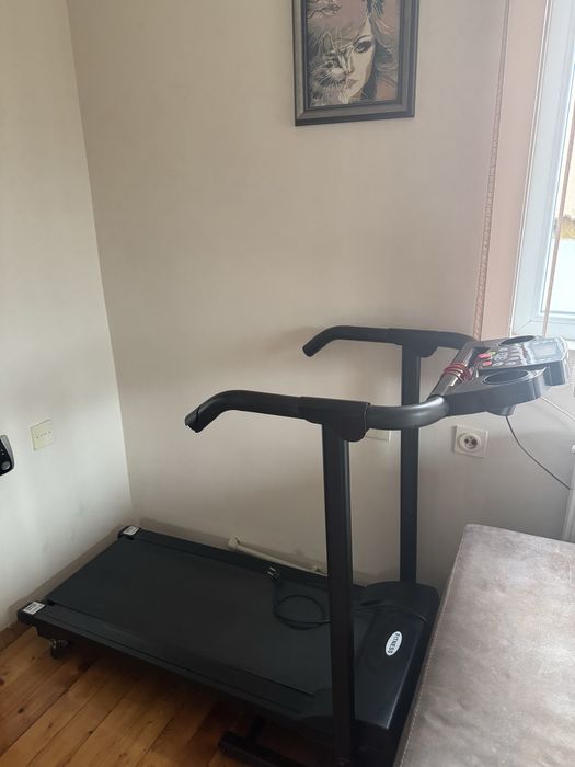 Електрическа пътека