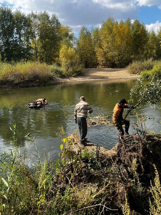 Обрезка деревьев Актобе Ағаш кесу