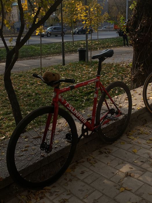 Тсунами снм 100 без копибары