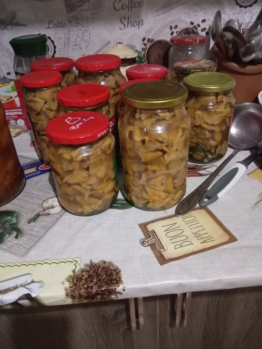 Продажа маринованных грибов