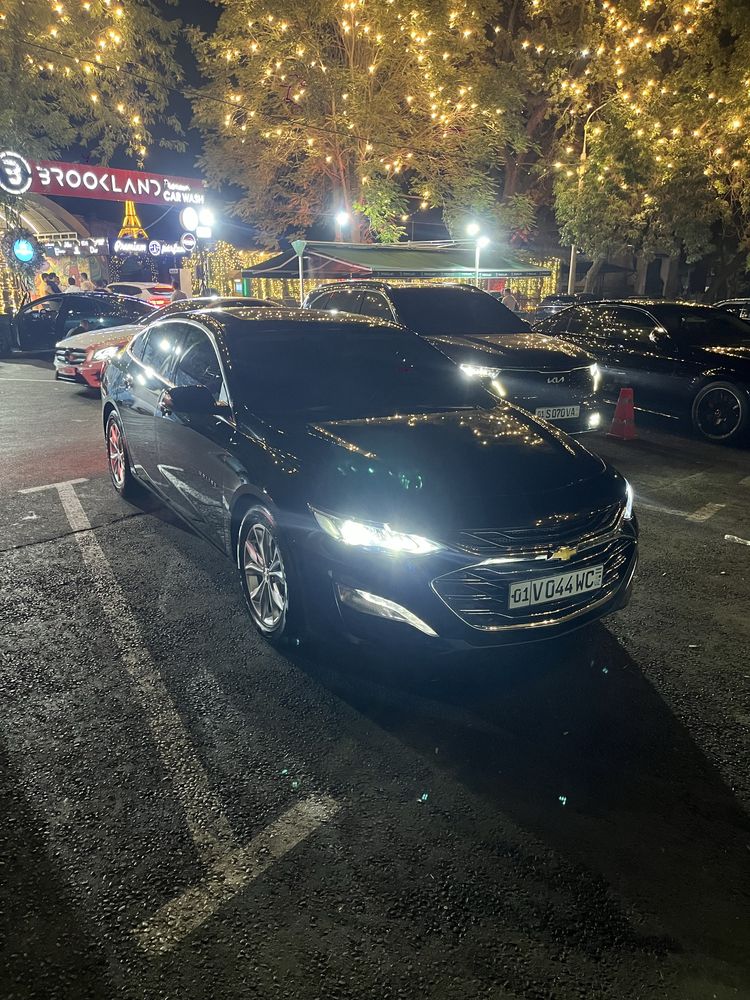 Malibu 2 primier