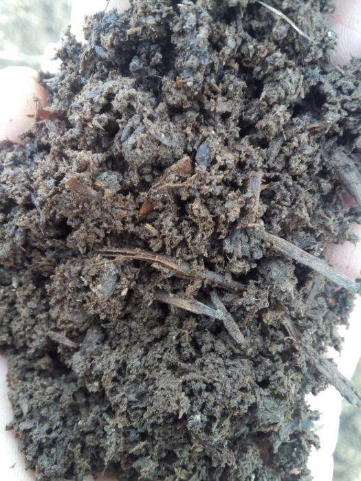 Mranita gunoi de grajd