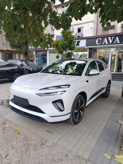 Sealion 06 EV610 2пазиция