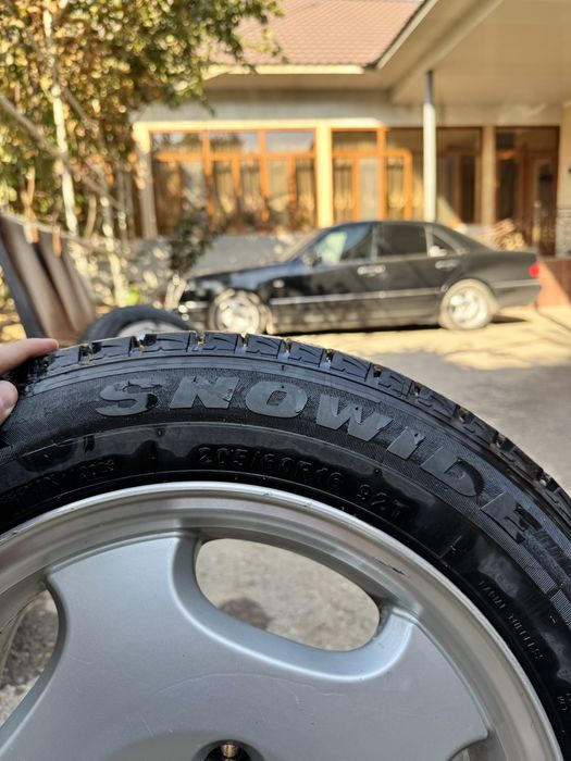 Черепаха. Титановые диски