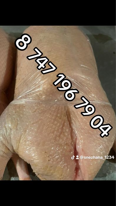 Продам свежее мясо гуся