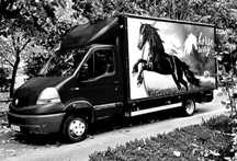 Transport animale vii