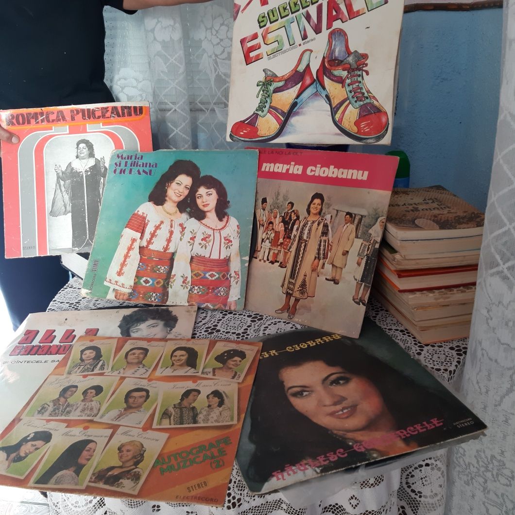Placi vinil cu artiști renumiti