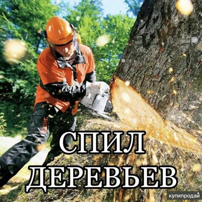 Спил деревьев професионально