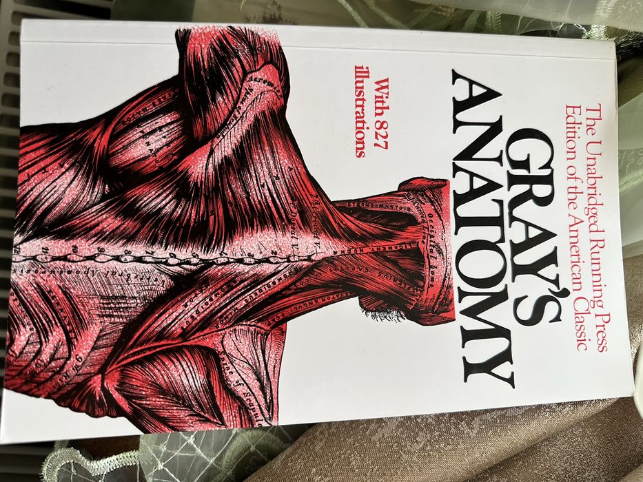 Gray’s anatomy paperback