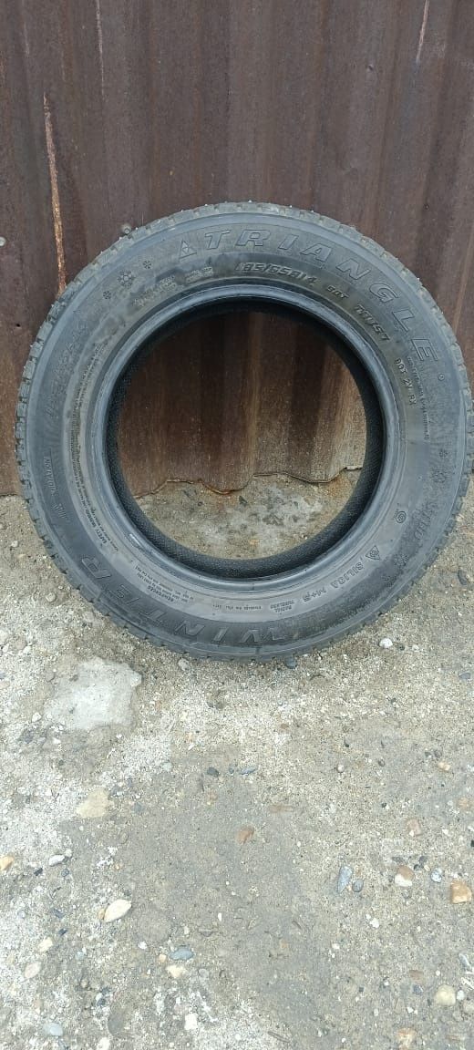 Зимние автошины Triangle