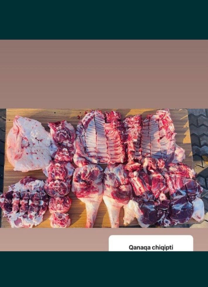 Qossob bor Toshkent shahar boylab