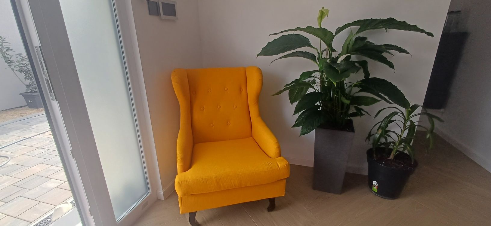 Fotoliu nou momax