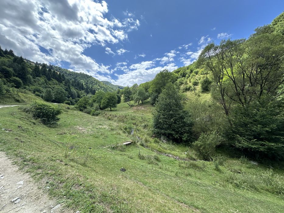 Vand 8534 mp teren in Rasinari Valea Stezii  (Valea Strambului)