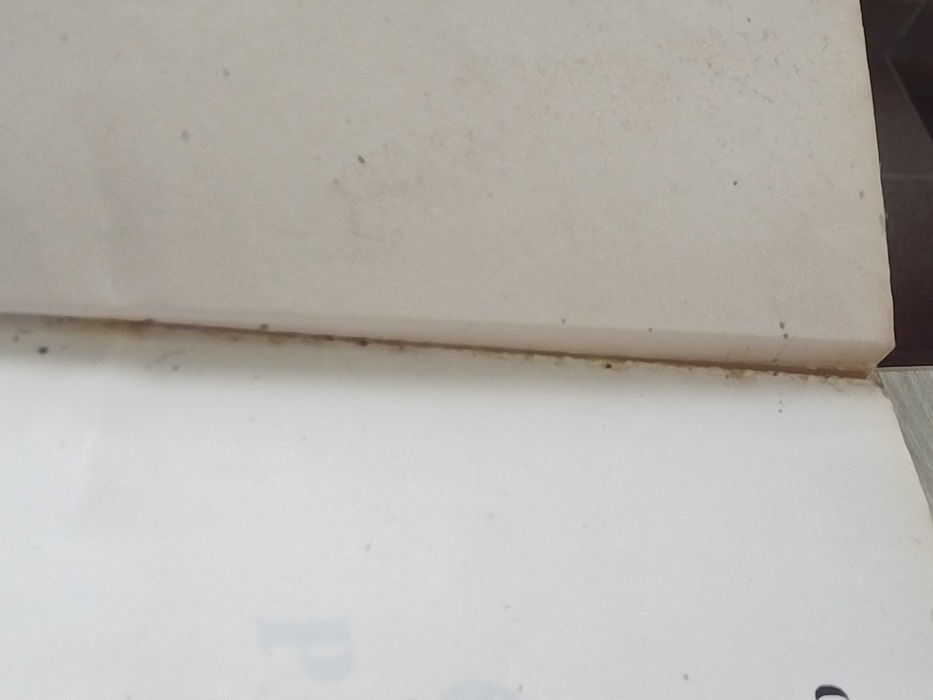 Crtanje portreta – Douglas R. Graves (2002 г.)