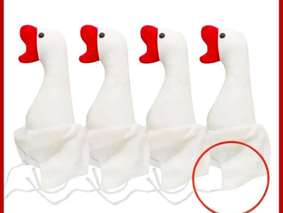 Аниматор разныйй