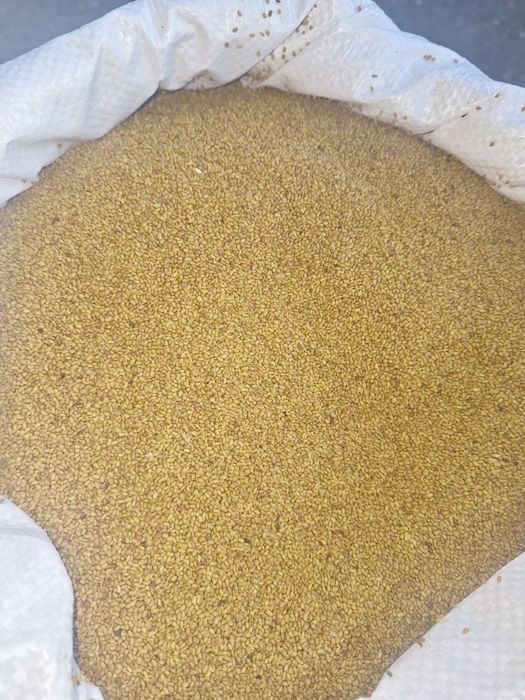 Samanta Lucerna Selectată si Descuscutata recolta 2024