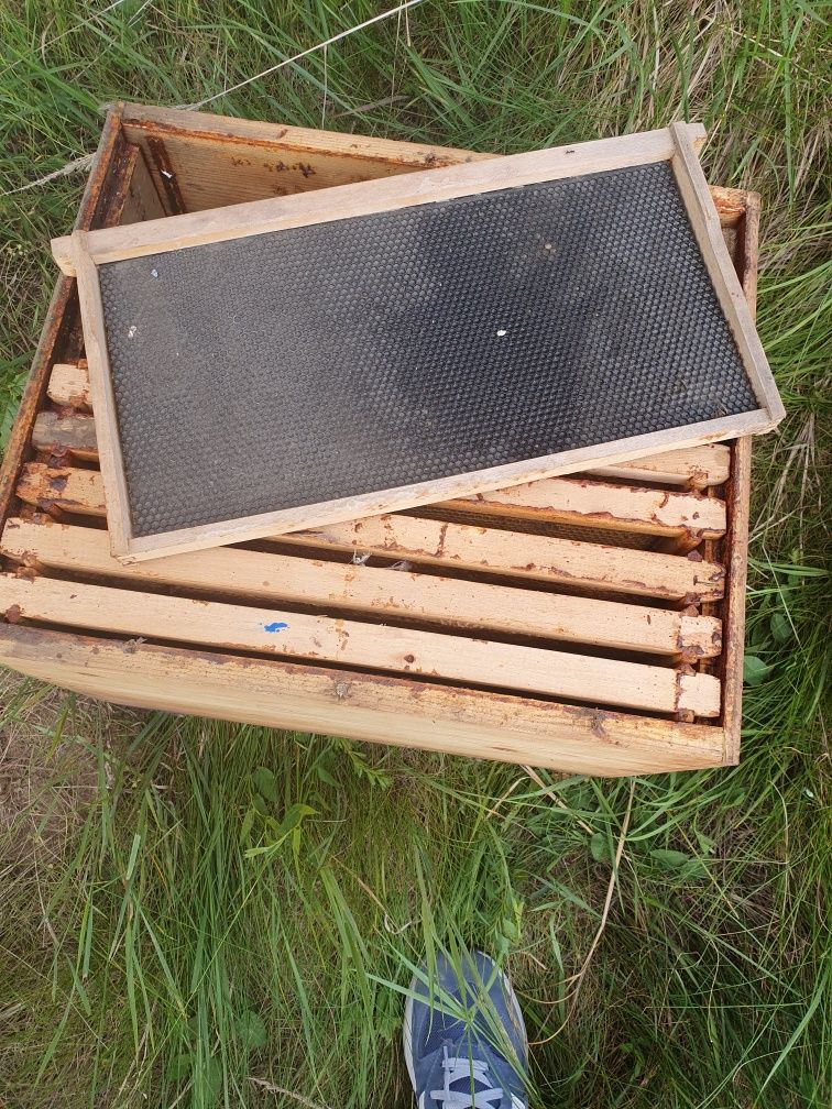 Vand cutii familii albine vertical