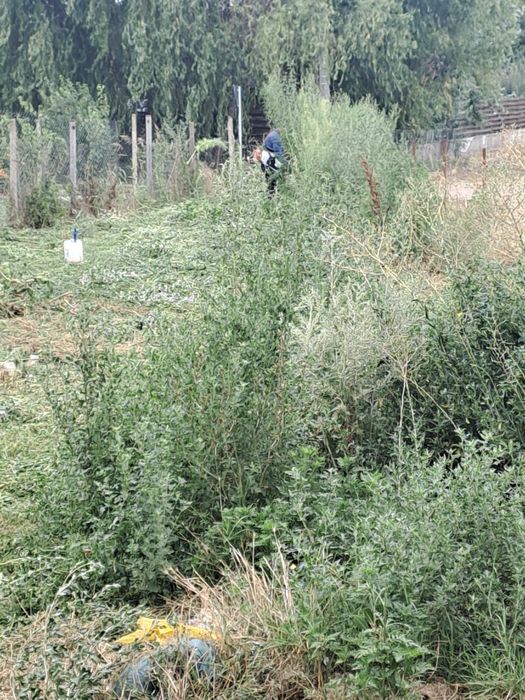 Cosit Iarbă Vegetație/Rapid și Ieftin