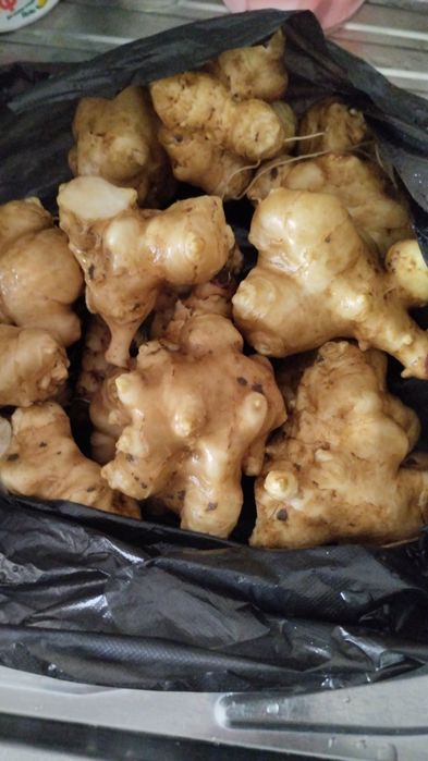 Топинамбур свежий