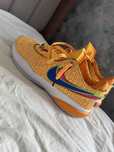 Nike Lebron 20 James Gang