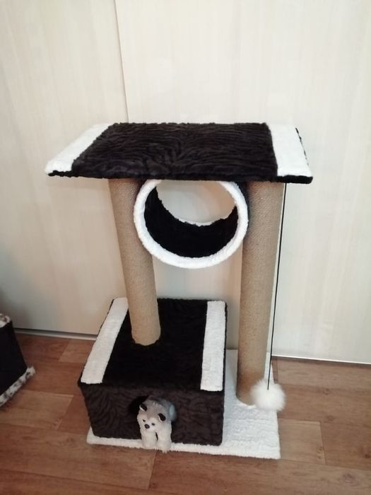 Шикарный домик для кошек.