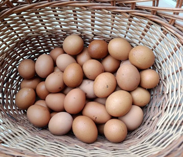 Oua de gaina si prepelita