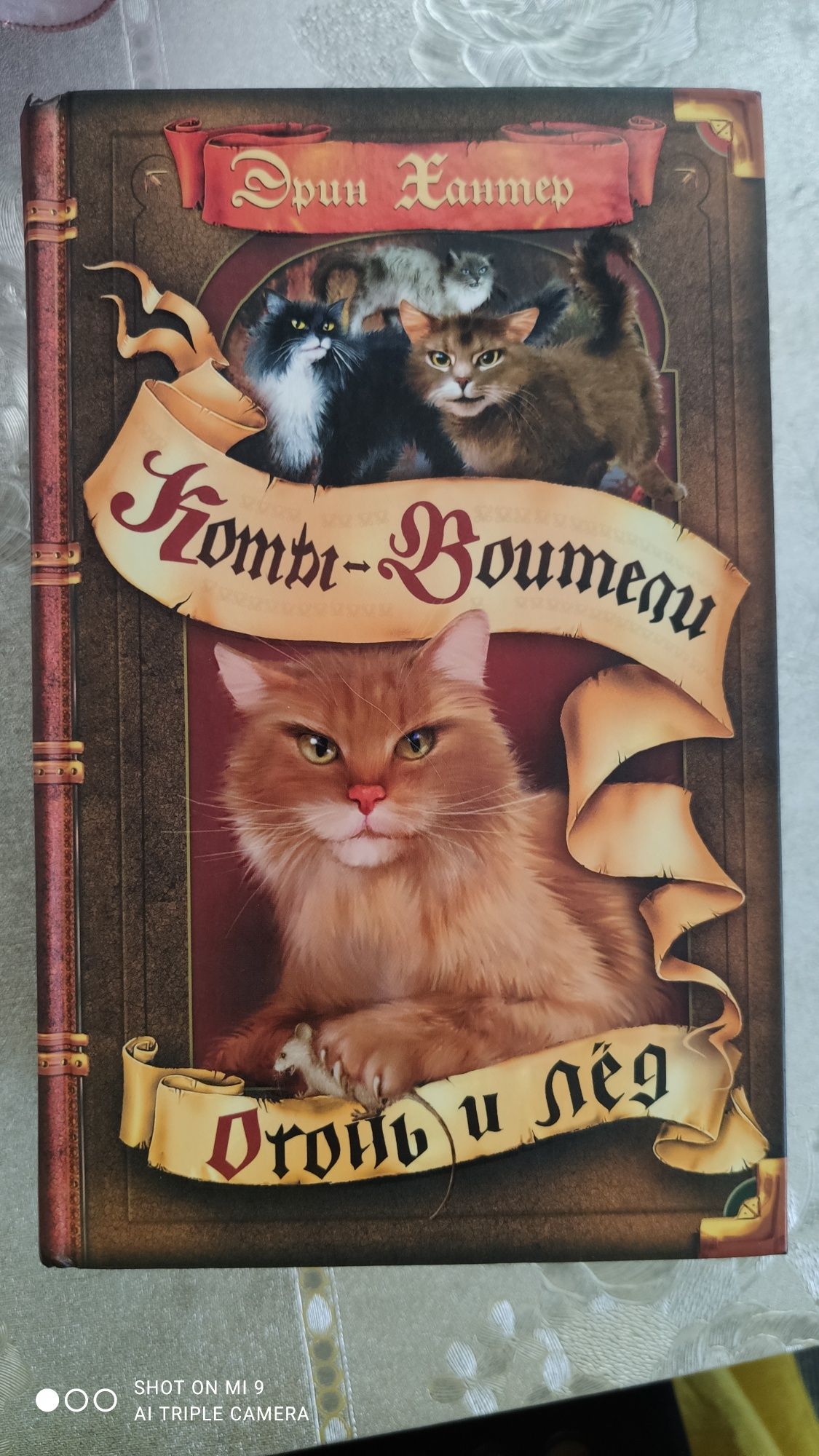 Коты Воители. Книги.