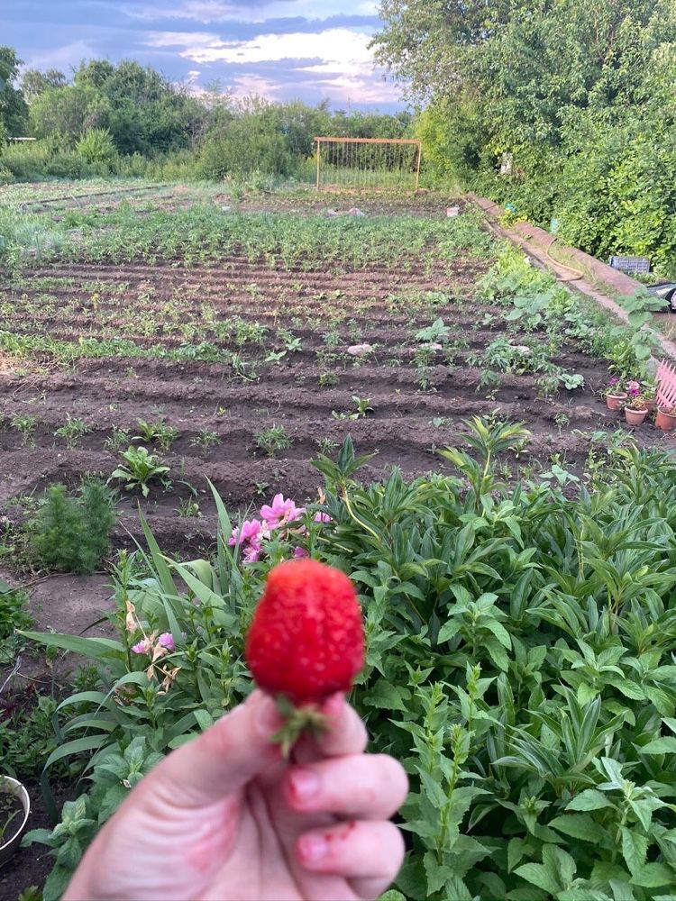 Продам дачу с двух этажным  домиком