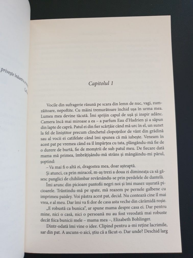 Maine e o noua zi - Lori Nelson Spielman