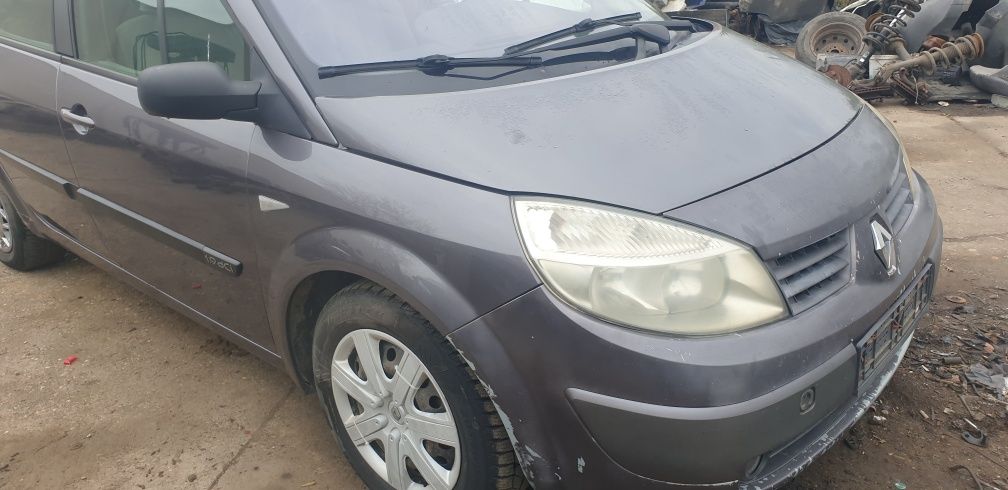 Parbriz, far, capota, aripa,bara fata/spate,usa,haion Renault Scenic 2