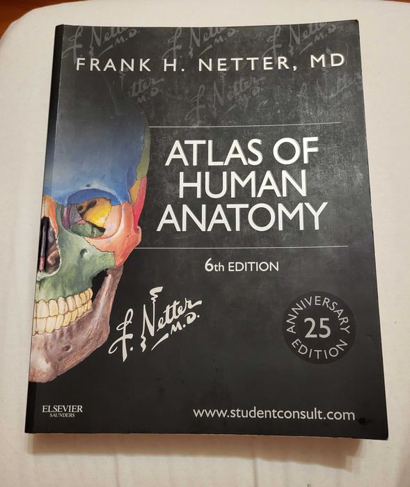 Atlas anatomie Netter Editia 6 Engleza