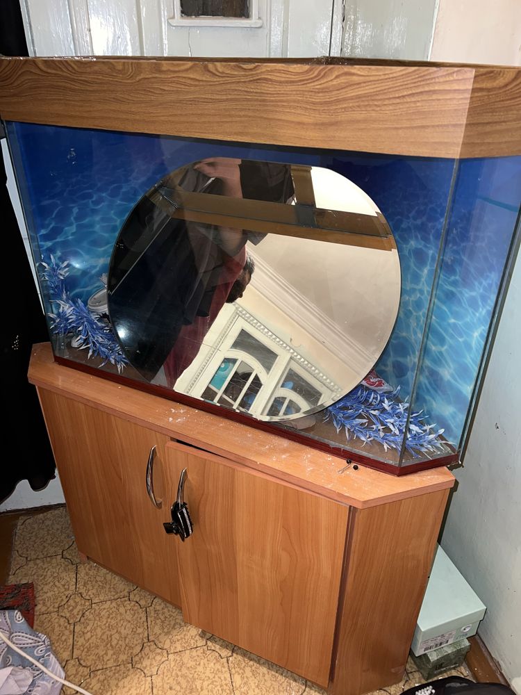 Akvarium holati yaxshi oynalari sinmagan