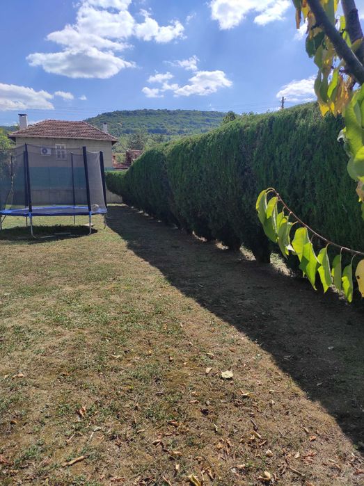 Почистване и подръжка на градини