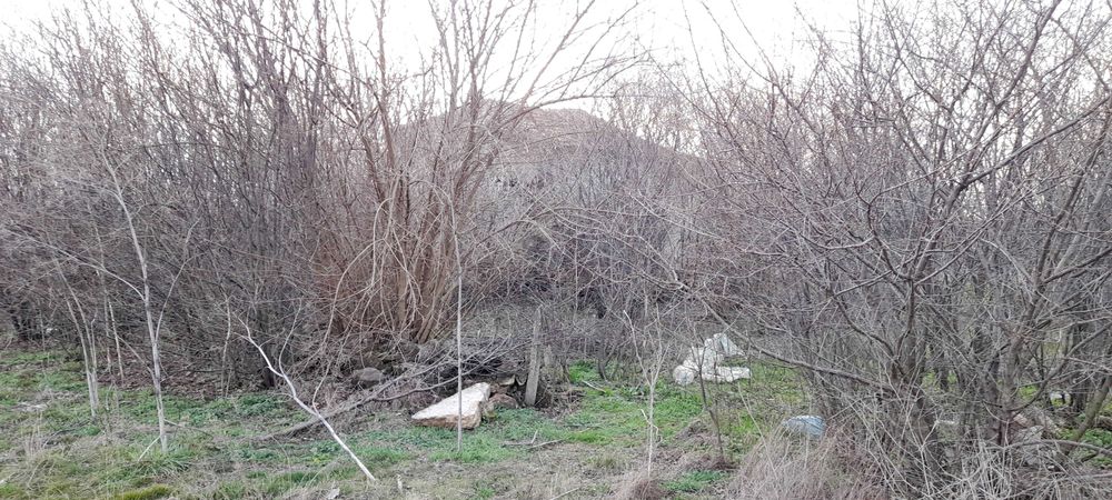 Продава се Къща в с. Пчеларово, Област Добрич - 90 кв.м за 46 €/кв.м - Снимка #5