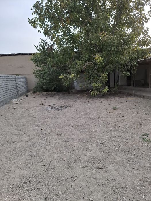 Нурафшон шахрида ховлу сотилади