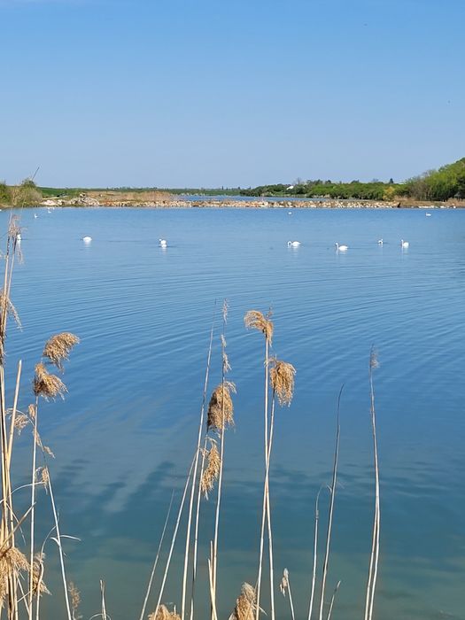 Teren intravilan situat pe malul lacului