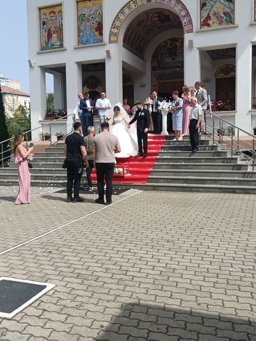 Porumbei evenimente Timișoara