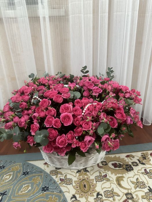 Бугынгы келген гул  срочно сатамын багасын келысемыз если что жеткызып