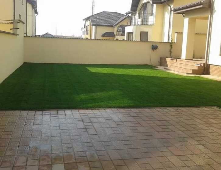 Gazon Rulou Sport premium