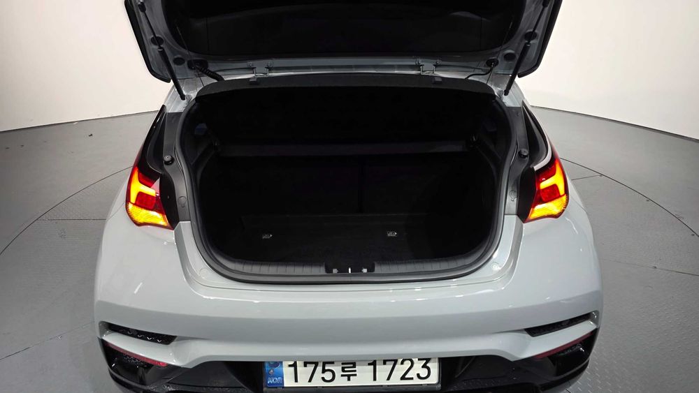 Hyundai Veloster 2.0 N   29