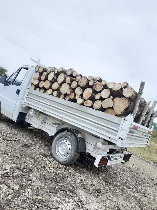 Lemne de foc la 250 lei metru