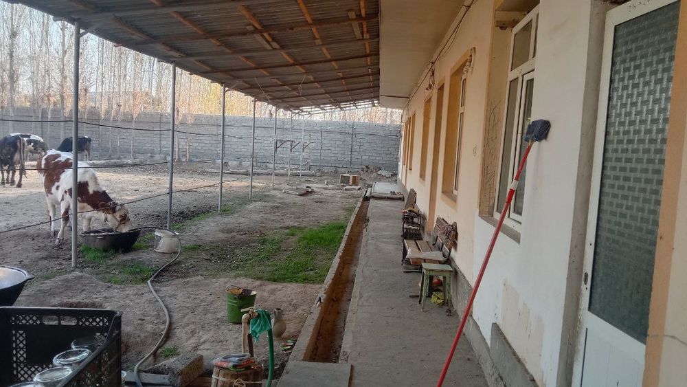 Uchastka, ferma sotiladi